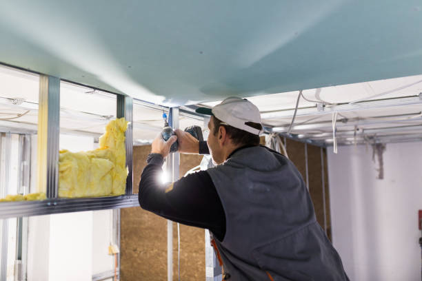 Best Insulation Maintenance and Repair in Benavides, TX