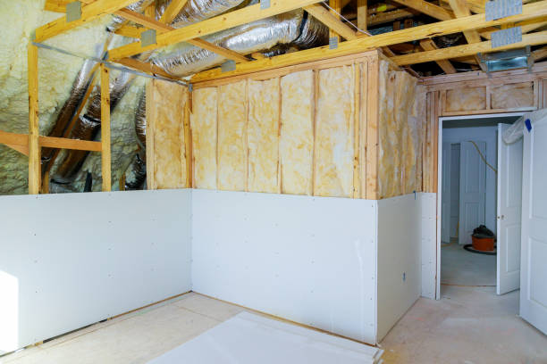 Best Insulation Maintenance and Repair in Benavides, TX